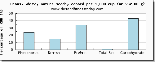 phosphorus and nutritional content in beans