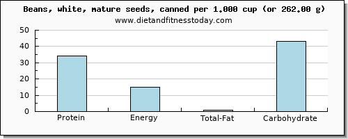protein and nutritional content in beans