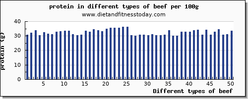 beef protein per 100g