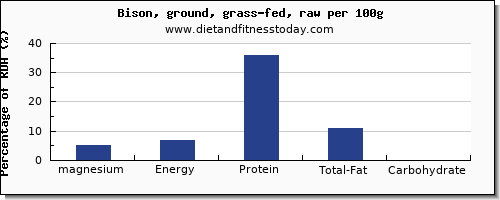 magnesium and nutrition facts in bison per 100g