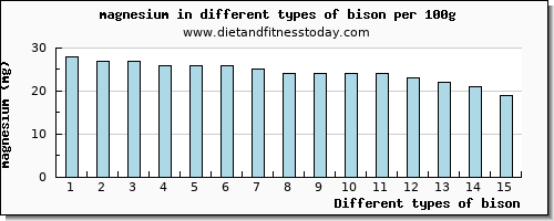 bison magnesium per 100g