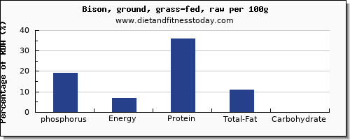 phosphorus and nutrition facts in bison per 100g