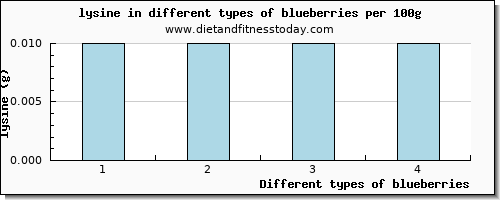 blueberries lysine per 100g