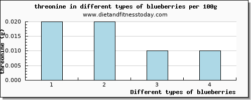 blueberries threonine per 100g