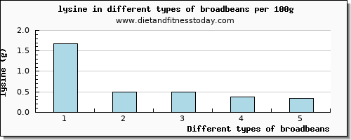 broadbeans lysine per 100g