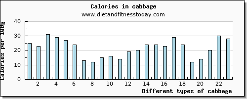 cabbage fiber per 100g