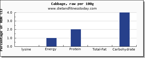 lysine and nutrition facts in cabbage per 100g