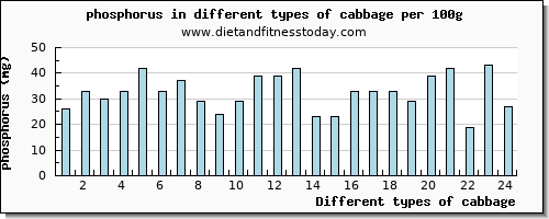 cabbage phosphorus per 100g