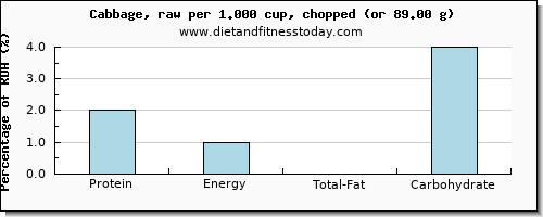 protein and nutritional content in cabbage