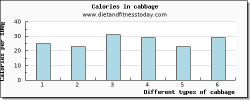 cabbage starch per 100g