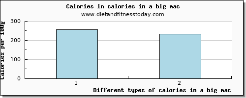 calories in a big mac energy per 100g