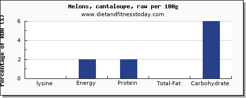 lysine and nutrition facts in cantaloupe per 100g