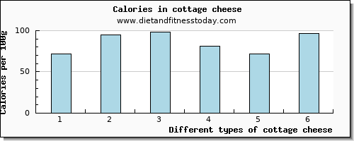 cottage cheese lysine per 100g