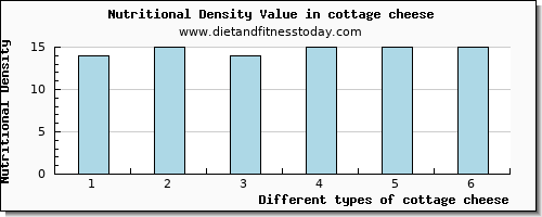 cottage cheese lysine per 100g