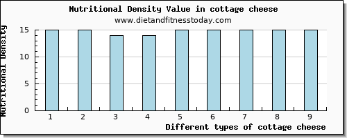 cottage cheese protein per 100g