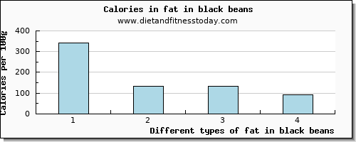 fat in black beans total fat per 100g