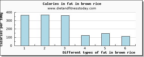 fat in brown rice total fat per 100g