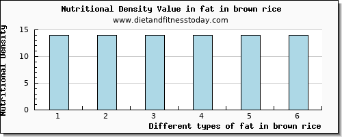 fat in brown rice total fat per 100g