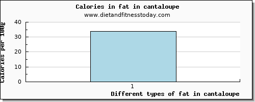 fat in cantaloupe total fat per 100g