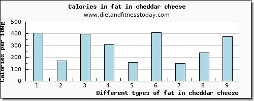 fat in cheddar cheese total fat per 100g