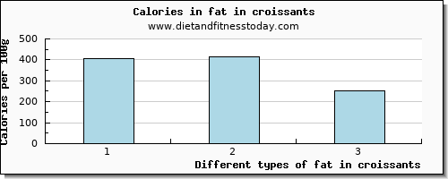 fat in croissants total fat per 100g