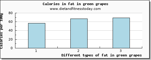 fat in green grapes total fat per 100g