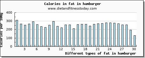 fat in hamburger total fat per 100g