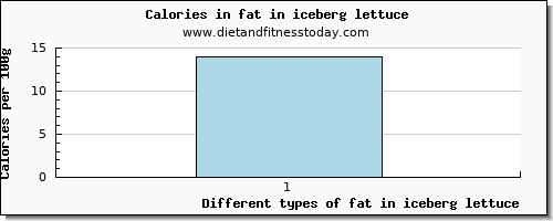 fat in iceberg lettuce total fat per 100g