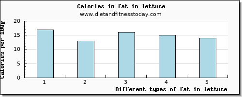 fat in lettuce total fat per 100g