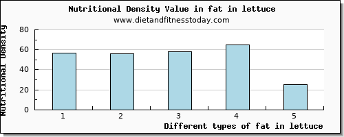 fat in lettuce total fat per 100g