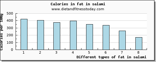 fat in salami total fat per 100g