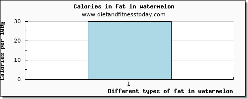 fat in watermelon total fat per 100g