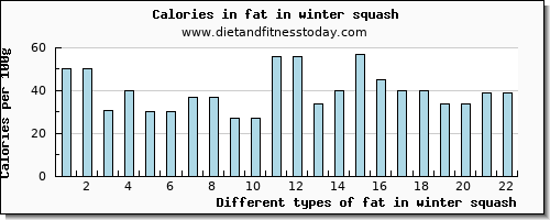 fat in winter squash total fat per 100g