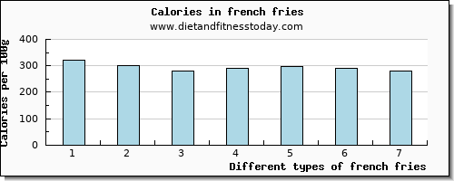 french fries protein per 100g