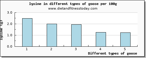goose lysine per 100g