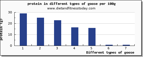 goose protein per 100g