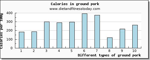ground pork protein per 100g