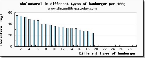 hamburger cholesterol per 100g