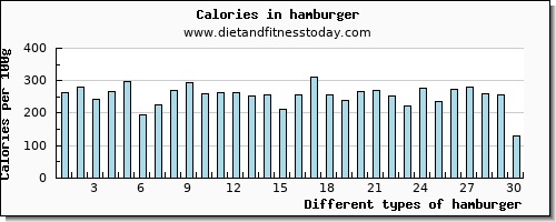 hamburger iron per 100g