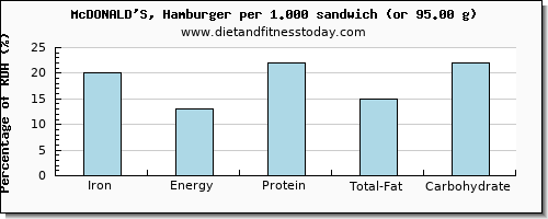 iron and nutritional content in hamburger