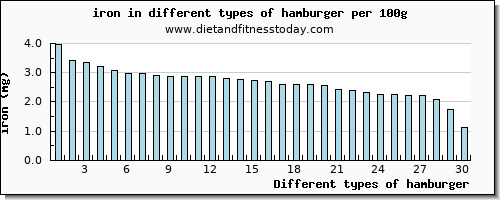 hamburger iron per 100g