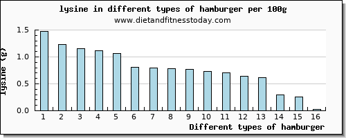 hamburger lysine per 100g