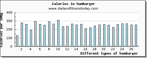 hamburger magnesium per 100g