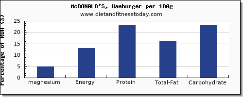 magnesium and nutrition facts in hamburger per 100g