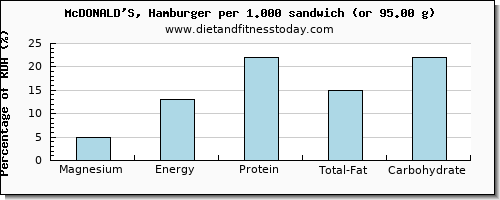 magnesium and nutritional content in hamburger