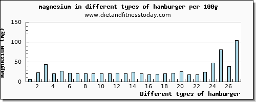 hamburger magnesium per 100g