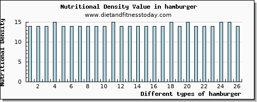 hamburger potassium per 100g