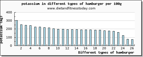 hamburger potassium per 100g