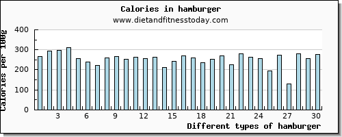 hamburger protein per 100g