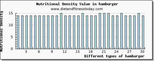 hamburger protein per 100g